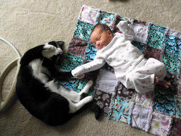 adorable-kids-with-their-cats-20-photos-3