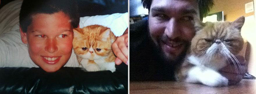 cute-pets-before-after-angry-cat