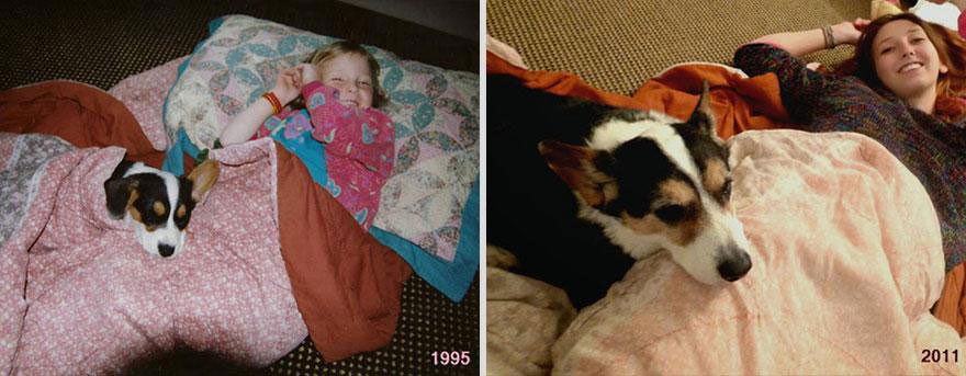 cute-pets-before-after-sleepover
