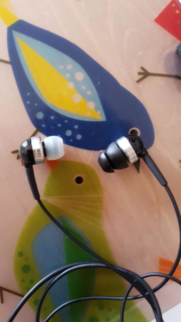 sub-buzz-10818-1472149105-3