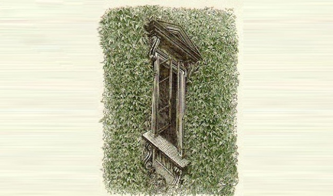 1136055-07H-WD1009-09-right-or-left-2-650-a542d8629a-1484647161