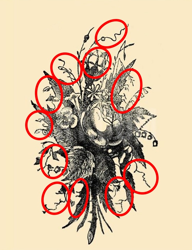 27847465-217736-0-1486554462-1486554468-650-32e9147584-1486991945