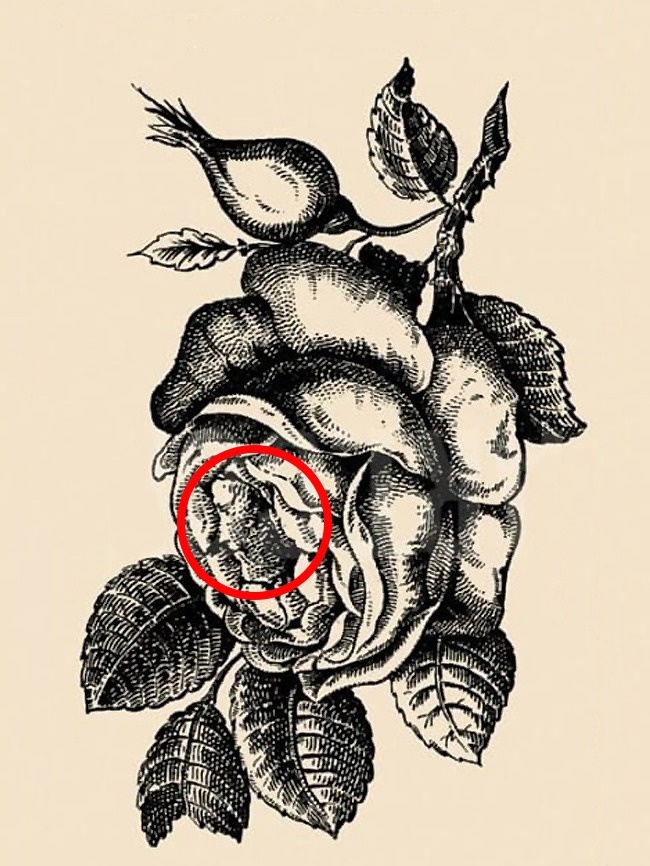 27848365-1-2-0-1486989586-1486989593-650-9ef4c38e4c-1-1486991945