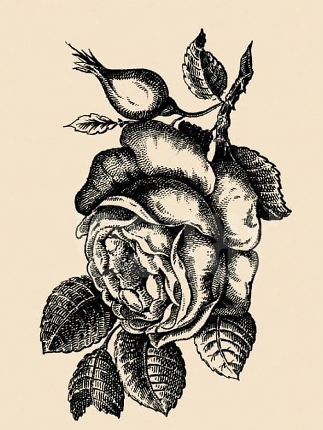 27848515-1-0-1486989852-1486989857-650-32e9147584-1486991945