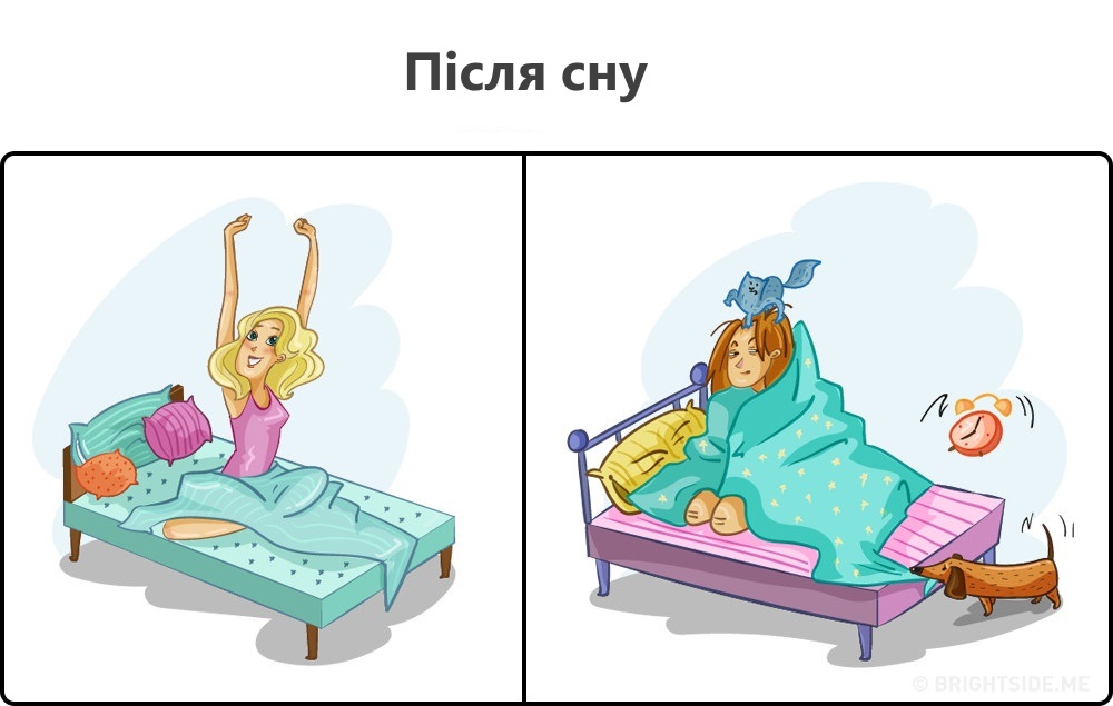 2809005-1-2-1000-a542d8629a-1484652774