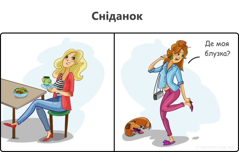 2809655-3-2-1000-a542d8629a-1484652774