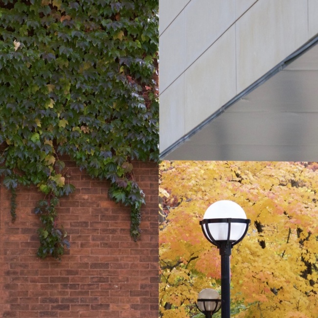 28702865-BaNbPQhFrMlFiuTIDtzg4yIPABbDO9akmYvvao07j6w-1486504988-650-54a07fd27c-1488891292