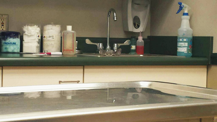 0_f2880_3c28e63a_orig