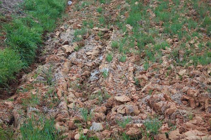 0_f2885_a4c1c8c0_orig