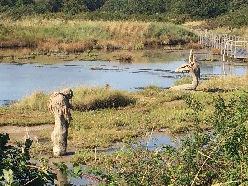 19895128_1543109479043032_3950359962098374378_n