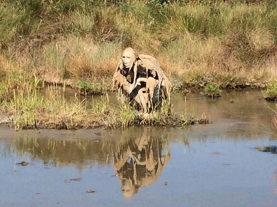 19905194_1543109445709702_8581724573174717204_n