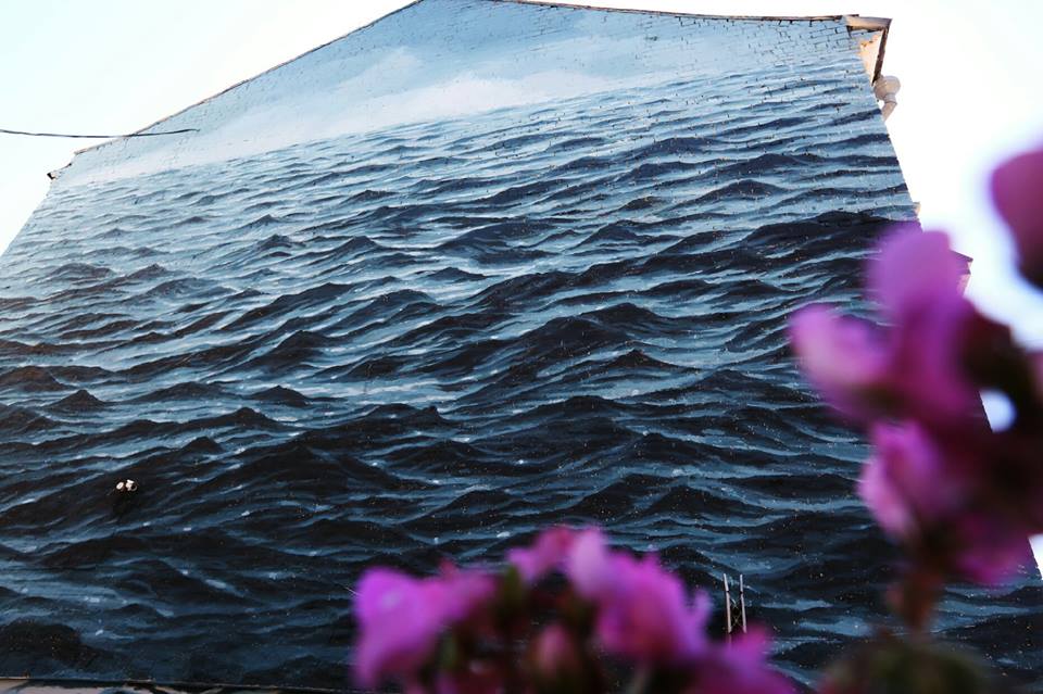 20479481_10155059643856843_4199255297224764686_n