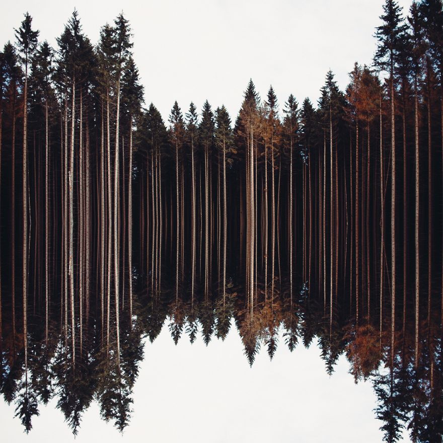 See-20-Finalists-from-the-Worlds-Largest-Photography-Competition-597af3b563325__880