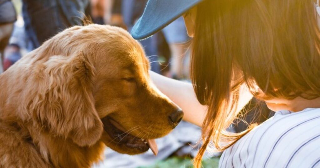 Чому собаки лижуть обличчя людей