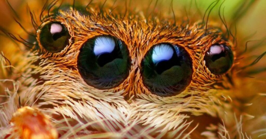 Розкрий свої таємниці: тест, який покаже твою справжню сутність!