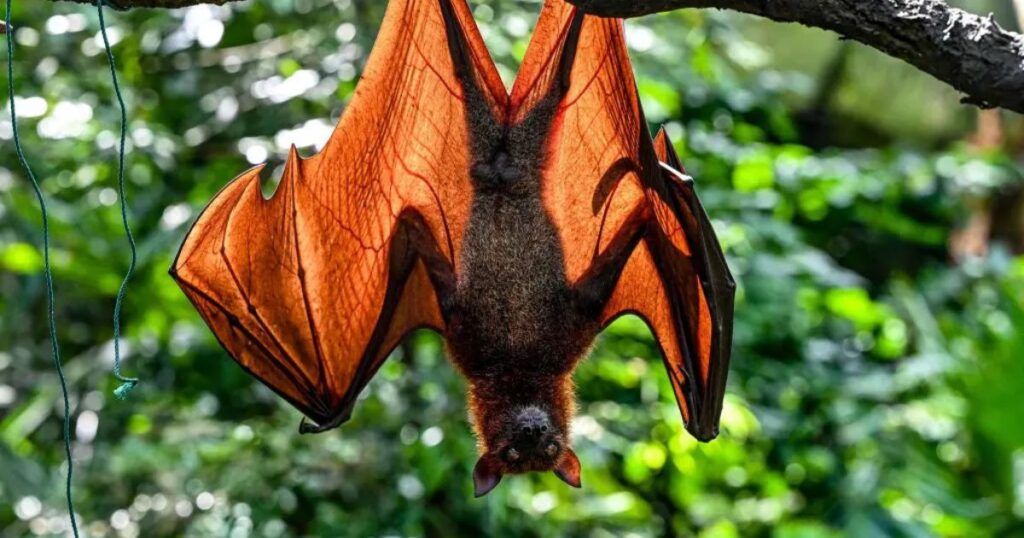 Розкрий свої таємниці: тест, який покаже твою справжню сутність!