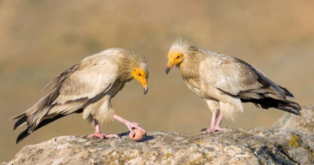 Розкрий свої таємниці: тест, який покаже твою справжню сутність!