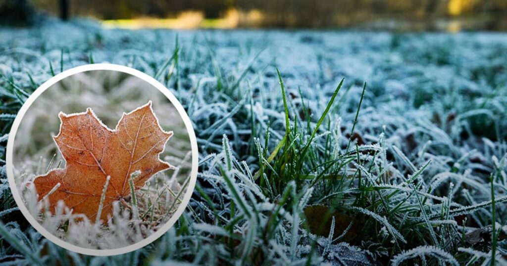 Чому пори року в Польщі починаються не в ті самі дні, що в Україні?