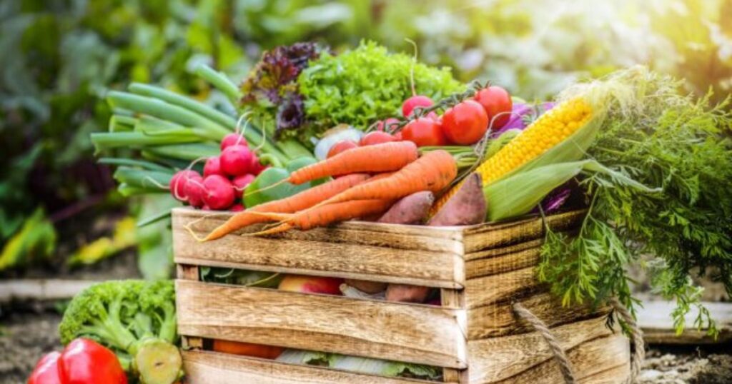 Що потрібно зробити до Покрови: шість справ у домі та на ділянці!