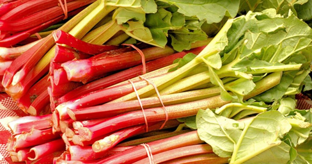 Чому щавлева кислота шкідлива?