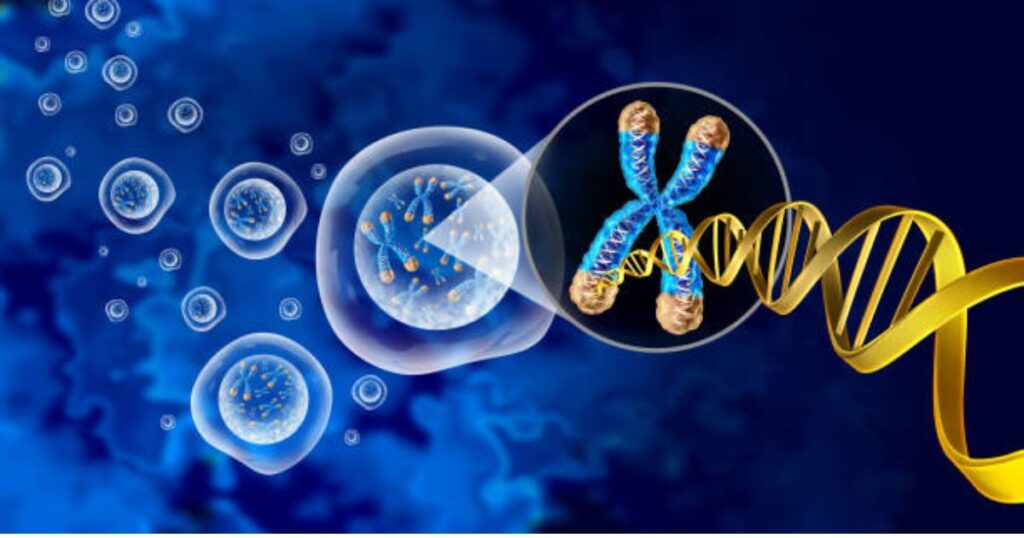 Історія досліджень хромосом людини