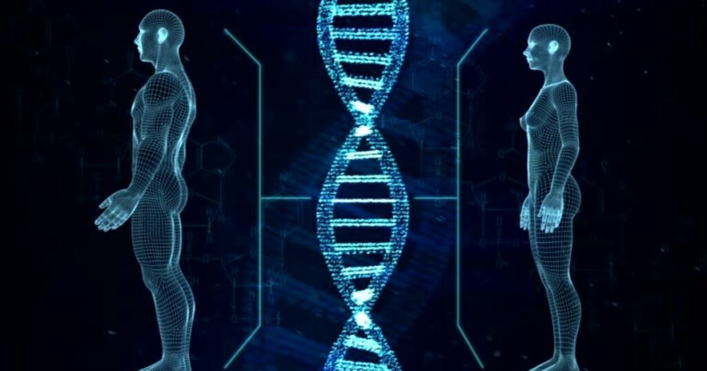 Для чого потрібні хромосоми?