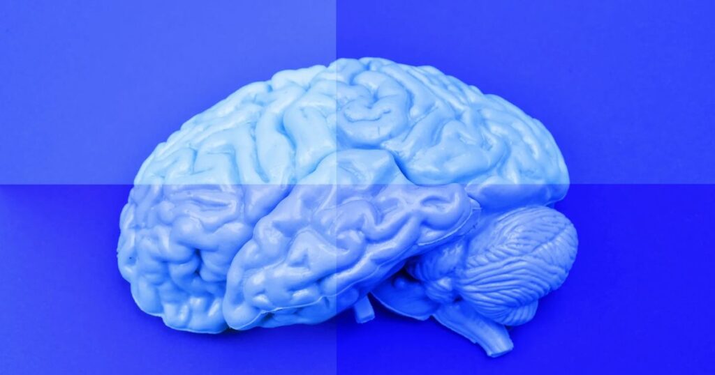 Види переконань