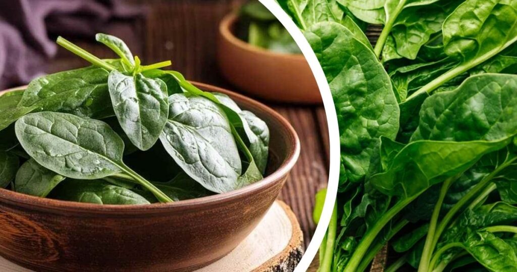 Чим корисний шпинат для жінок