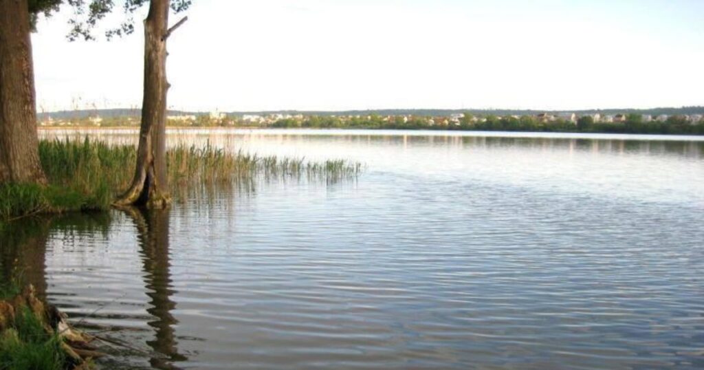 Топ-3 безкоштовних Озера біля Львова - Озеро у Золочеві