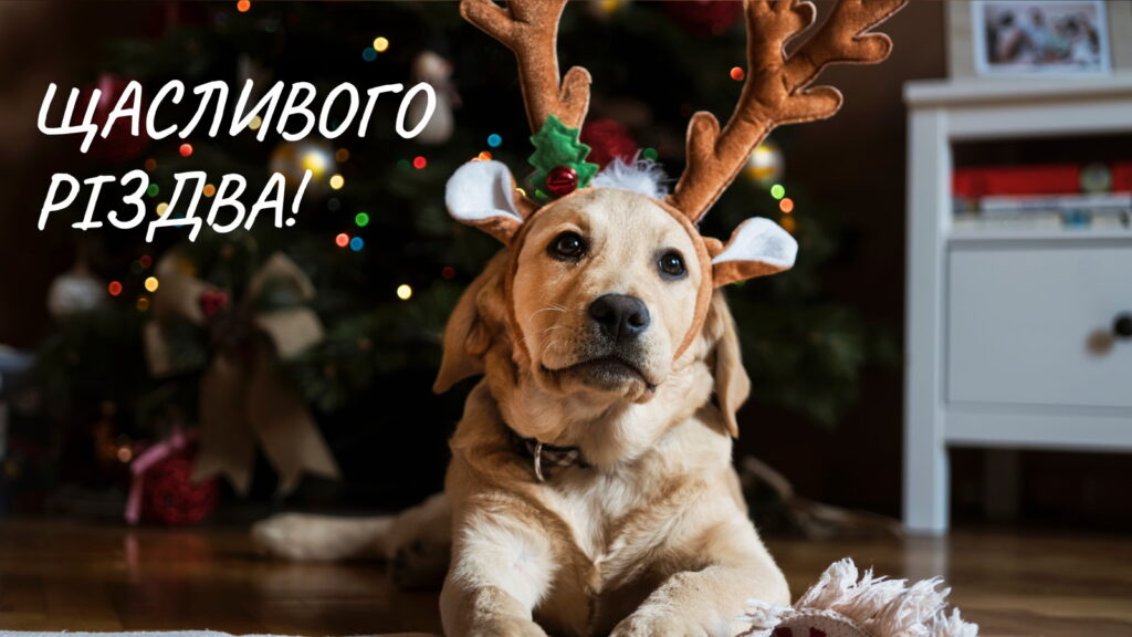 Картинка привітання Щасливого Різдва