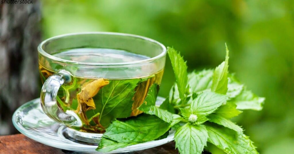 як позбутись похмілля - м'ятний чай