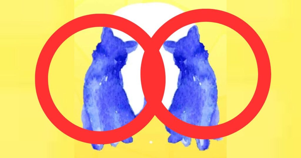 Що першим ви побачили на картинці - візуальний тест - кіт