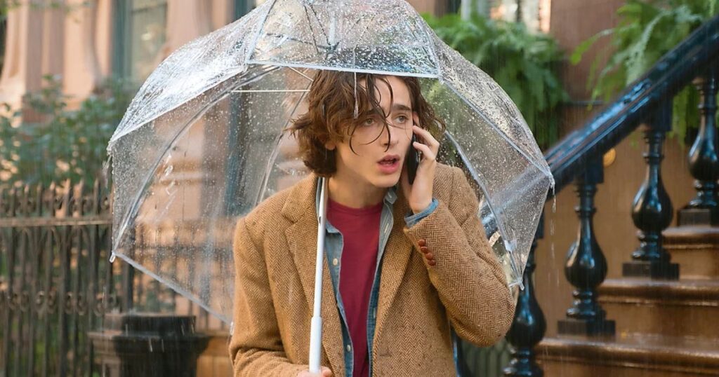 Кадр з фільму - Дощовий день в Нью-Йорку / A Rainy Day in New York (2018)