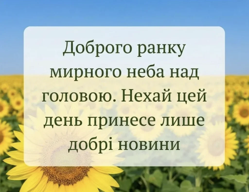 Побажання на фоні соняшників