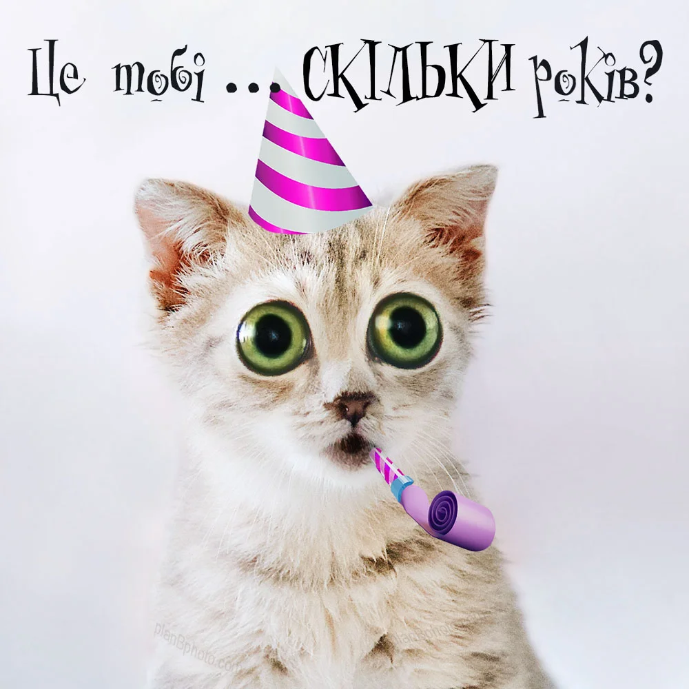 Кумедна листівка з котом із великими очима